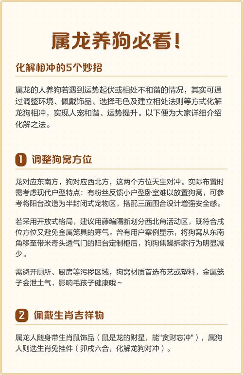 狗和龙怎样才能不相冲 生肖龙配生肖狗会啥样呢