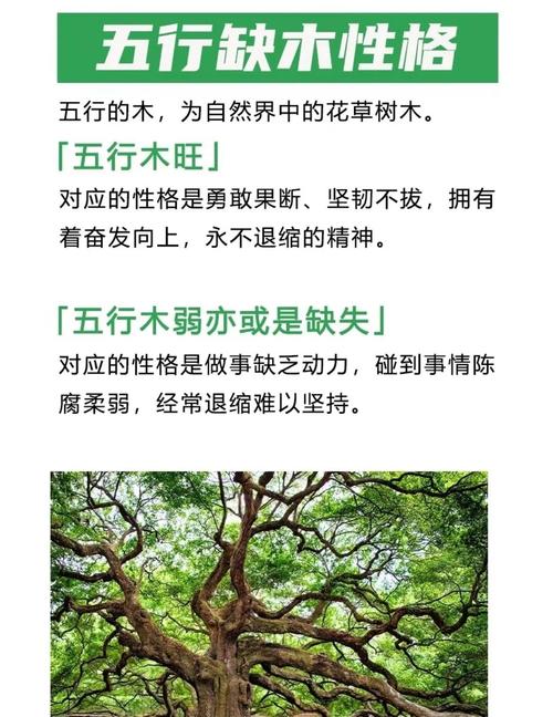 命里缺木的人什么命运 有什么特点