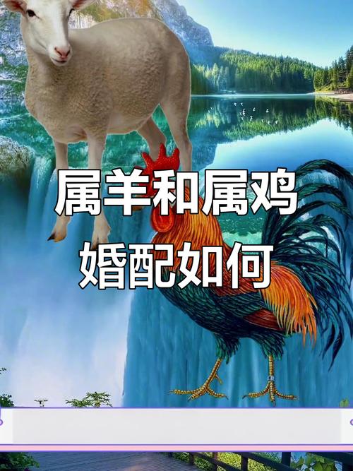 慷慨大方颇有人情味 生肖羊男和生肖女鸡配吗