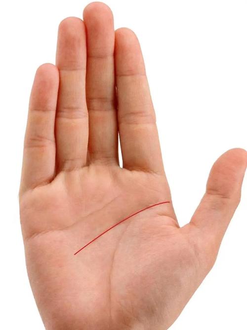 女生手相智慧线长，经济方面易出现状况？