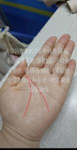男人智慧线很短主才能拙劣？