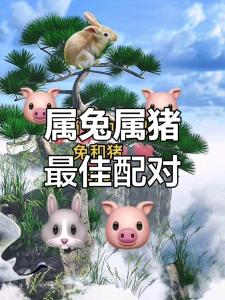 和属兔女最适合 生肖猪男和什么生肖最配婚