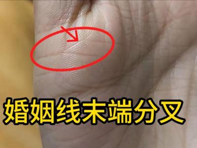 女人婚姻线末端分叉，常与伴侣吵架闹矛盾！