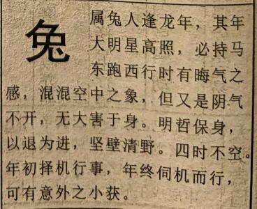 不同年份属兔人2024年运势 属兔人2024年二月份各方面运势好不好
