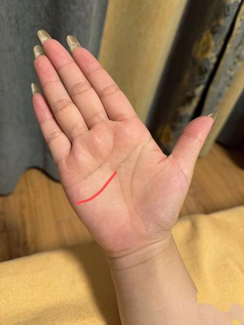 智慧线平直是什么意思？