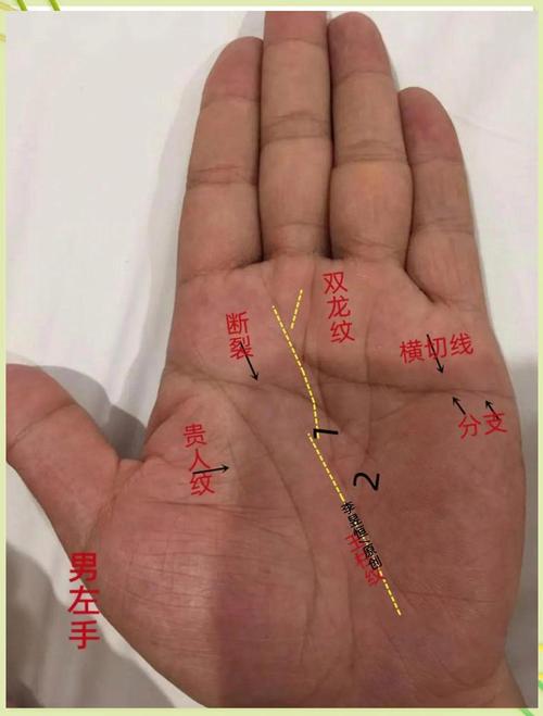 专一男人手相，是一个不可多得的好男人