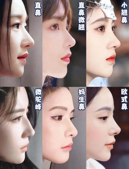 什么样的鼻形是成功人士必备的