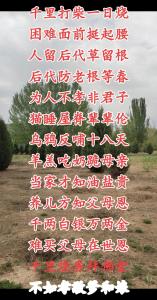 命理富贵大灾难也大,农村老话为何说“十羊九不全,一全坐殿堂”