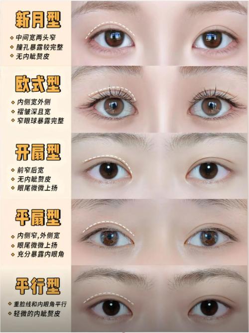 内双眼皮性格分析