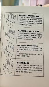 智慧线很长说明了什么？聪明吗？