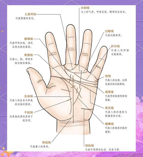 如何从生命线看人的性格?