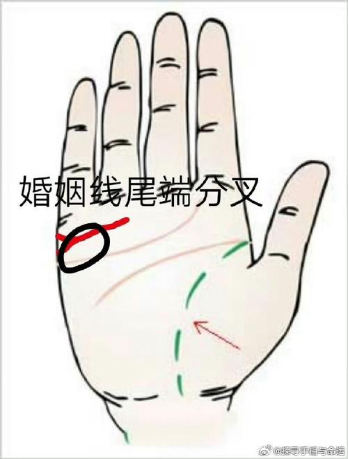 男人左手婚姻线有三条