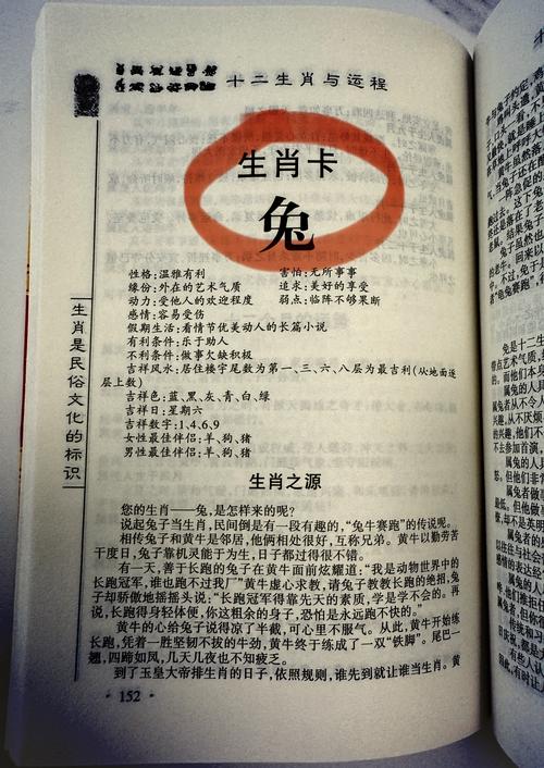 1999兔年一生命运怎样  婚姻命理详解