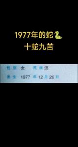 1977年出生是什么命