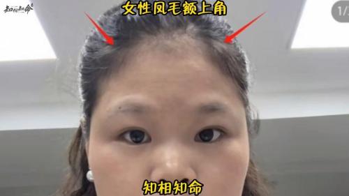 头顶有两个角的人命相