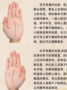 最有钱人的手相有何特点？