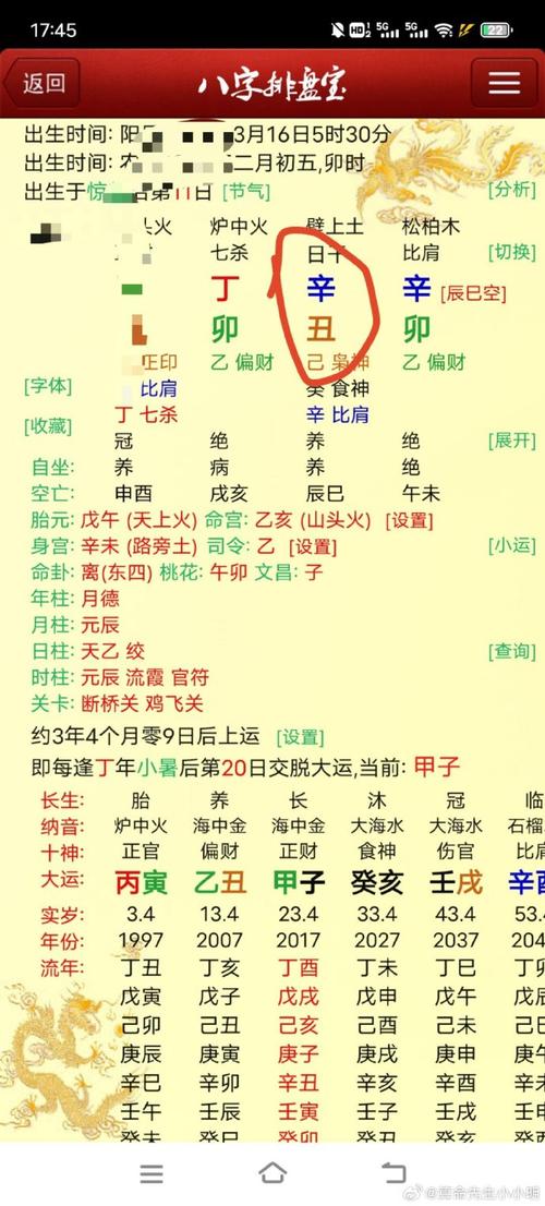 辛丑流年丙子日柱天合地合怎么看
