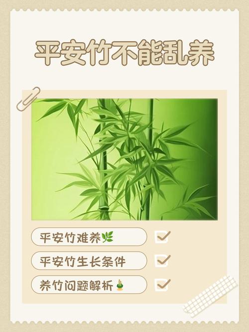 房子后有竹子风水禁忌及寓意
