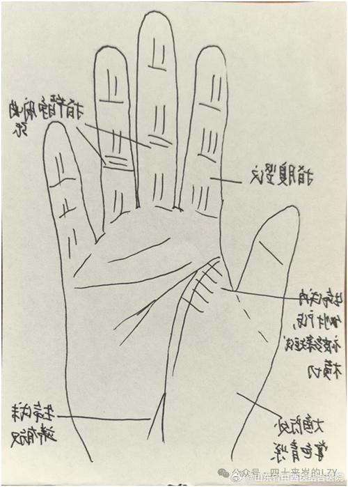 揭秘便秘者的手纹有什么特征？