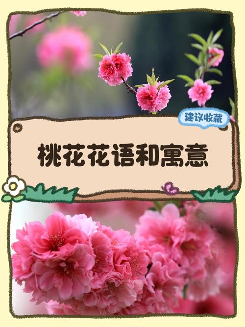 十月桃花开有什么征兆,十月桃花开花寓意着什么意思