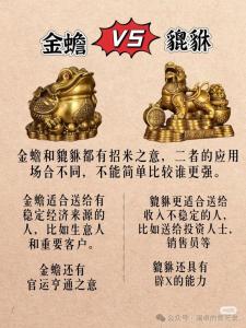 什么叫横财和偏财 偏财和横财的区别