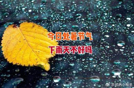 为什么处暑下雨万人愁 致使农作物产量减少