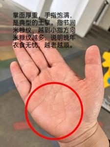 掌纹全是碎纹 容易营养不良