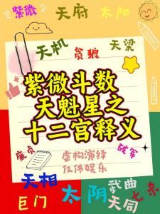 天魁星在十二宫的意义