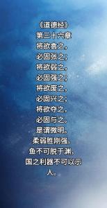 一阴一阳之谓道译文
