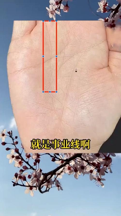 成功线在哪个位置