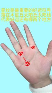 智慧线上有星纹和斑点指示了什么?