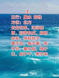 八字十天干壬水