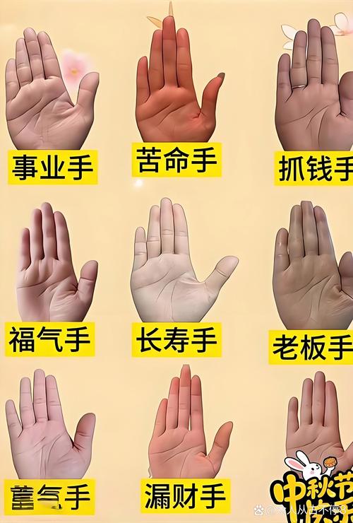 容易被钱财所累的手相