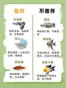 家庭养鱼知识必备大全,家庭养鱼必备常识