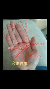无名指长度看你财运
