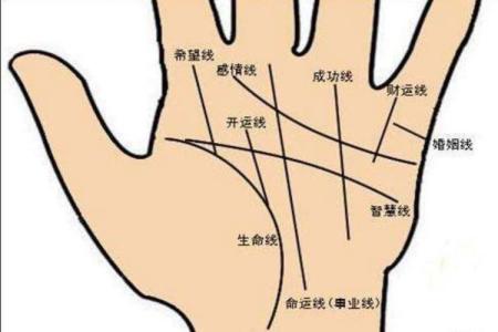 九大财富纹你有几条