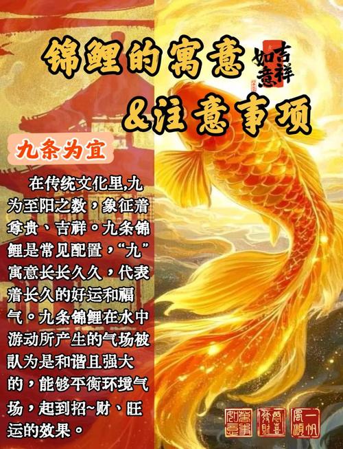 穿成锦鲤天生富贵命，锦鲤命是什么意思