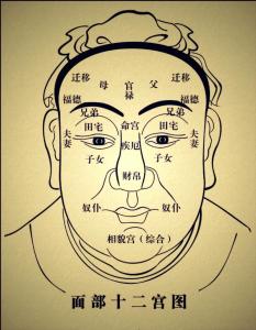 大富大贵旺妻男人面相 重要宫位的五官很好