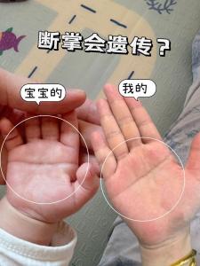 男宝宝双手断掌智商高是真的吗