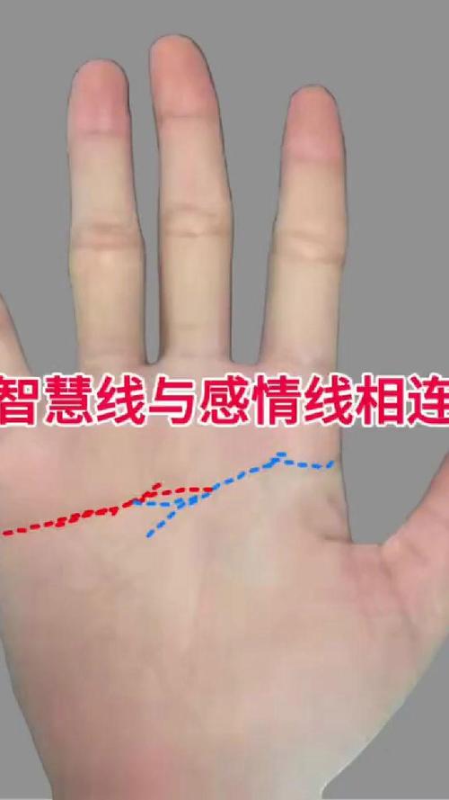 感情线和智慧线连在一起,右手智慧线与感情线之间还有一条线是什么线