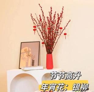 客厅放什么干花招财