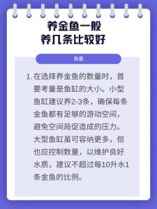 养金鱼几条最好旺财 养殖忌讳什么