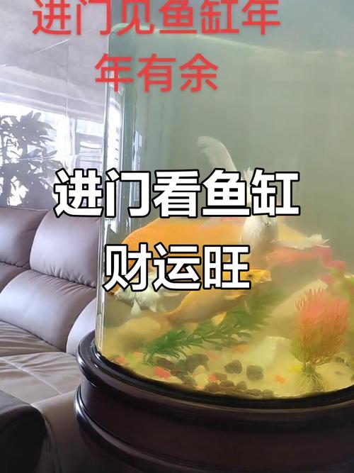 从风水学看进门见鱼缸风水好吗 散尽财气不利发展