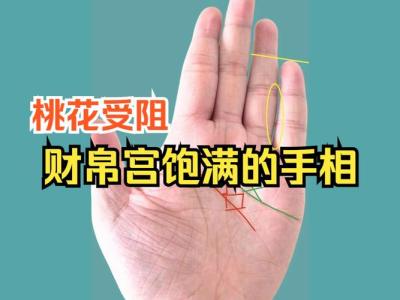 吉祥手相有哪些 财帛宫处厚实