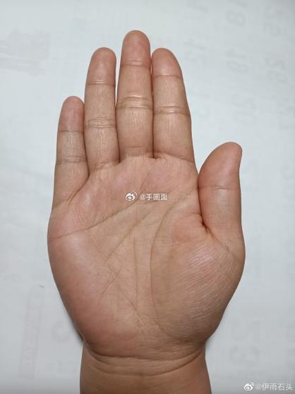 男人哪十种手相是福气的表现 手掌厚实