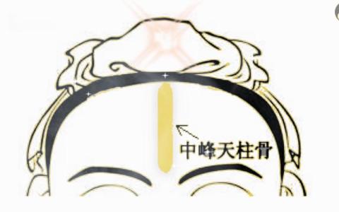 天柱骨面相 天柱骨的命运如何解析