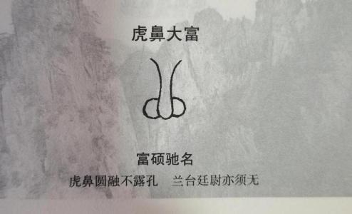 虎鼻女人面相  财运亨通