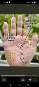 生命线分析 女人右手生命线有分叉好不好