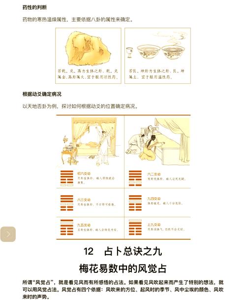 梅花易数中变卦的由来
