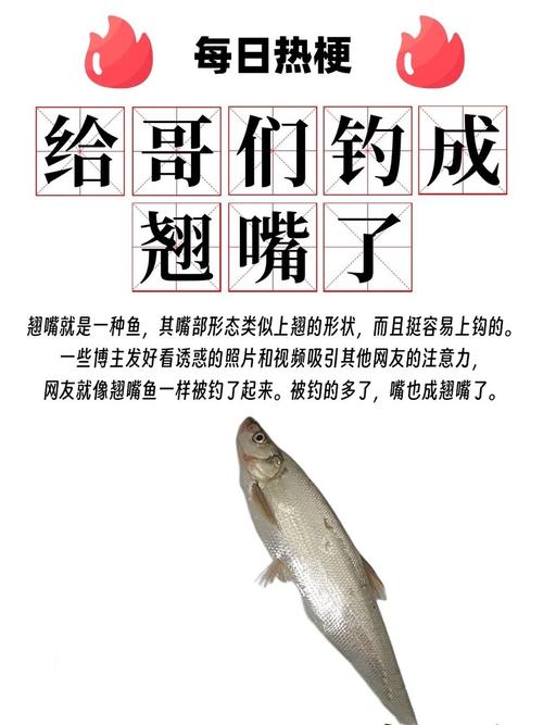 钓鱼什么意思,钓鱼是什么意思网络用语